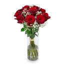 Bouquet of red roses